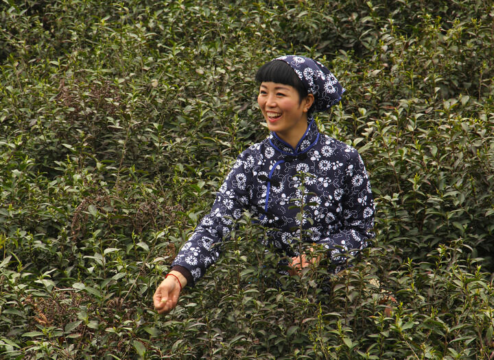 进击的巨人 最终季